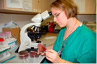 Kathryn Evans and at work in the hospital ship’s lab