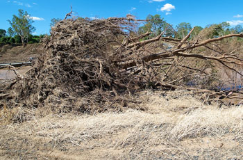 Colleges Crossing Recreation Reserve, Chuwar, near Ipswich. Photo by Lewis Yu