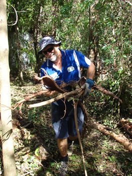 Mark Dewar cleaning up after cyclone Yasi. Photo by Phil Smith