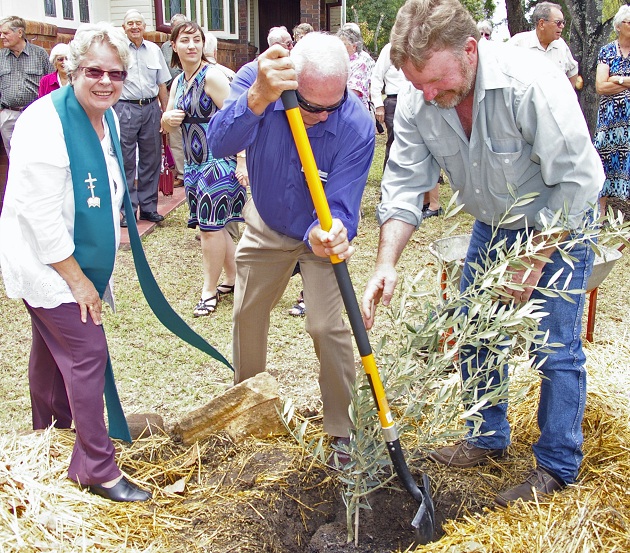 Left: Rev Jenny Sims, Marshall Hamilton, and Glenn Ogden plant an olive tree at the Dalby Uniting Church centenary celebrations. Photo by Ian Williams