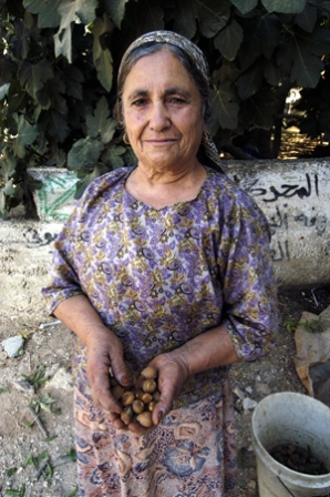 A woman harvesting almonds in the Palestinian territories. Photo by Paul Jefferies, ACT International. 