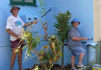 Bruce and Rosemary Chamberlain with roller and paint brush in hand.