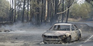 October's bushfires devastated the Blue Mountains region of New South Wales