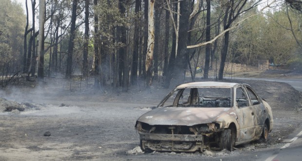 October's bushfires devastated the Blue Mountains region of New South Wales