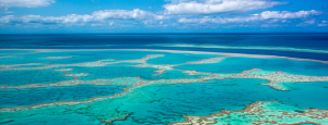 Australia Great Barrier Reef. Photo: Google Images.