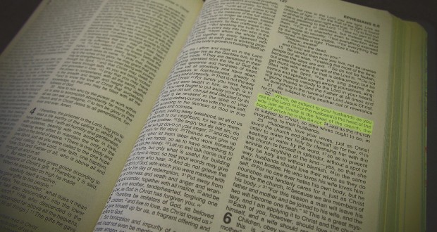 Photo of a Bible by Holly Jewell.